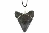 Fossil Megalodon Tooth Necklace #95234-1